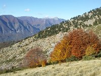 2017-11-11 Monte Cornacchia 110